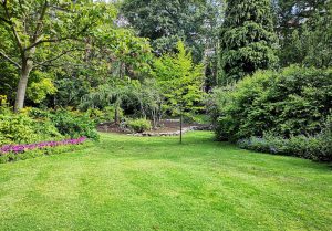 Optimiser l'expérience du jardin à Villar-Saint-Pancrace